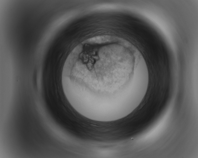 X0000094790382200712141643