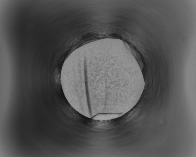 X0000094790384200712141643