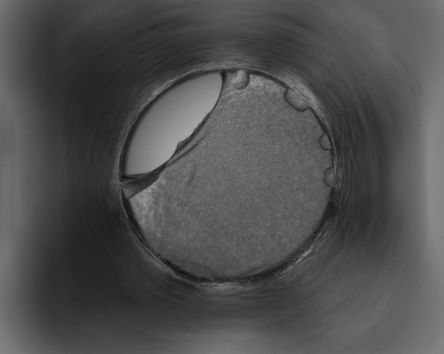 X0000094790389200712141642