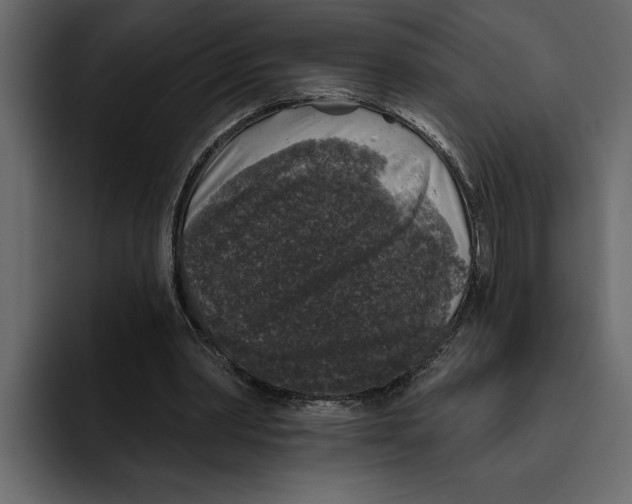 X0000094790390200712141642