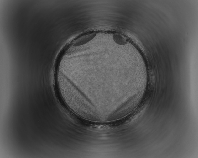 X0000094790395200712141642