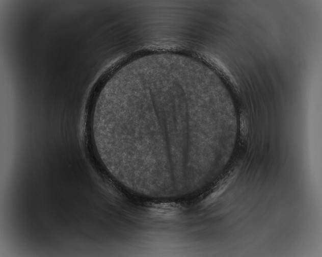 X0000094790396200712141642