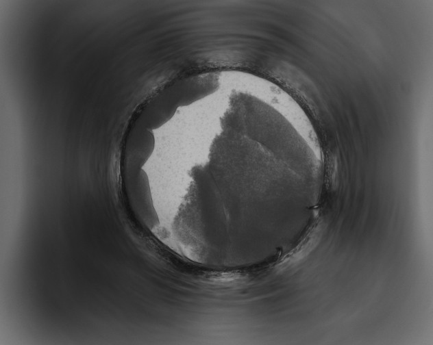 X0000094790398200712141642