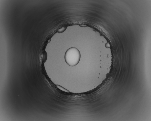 X0000094790405200712141642