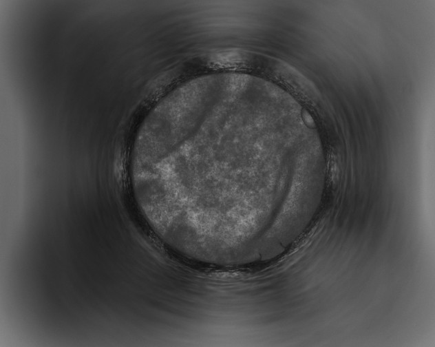 X0000094790408200712141642