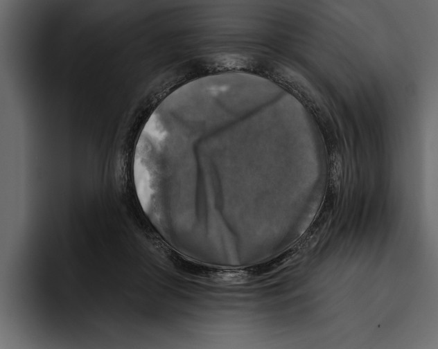 X0000094790410200712141642