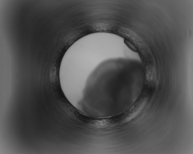 X0000094790411200712141642