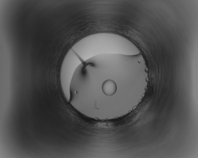 X0000094790415200712141642