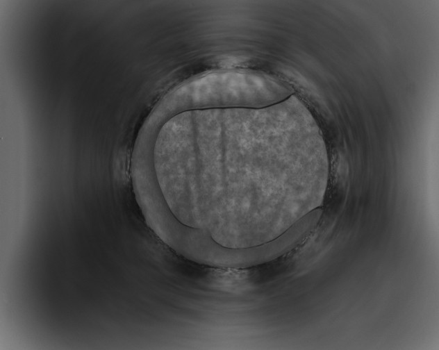 X0000094790421200712141642