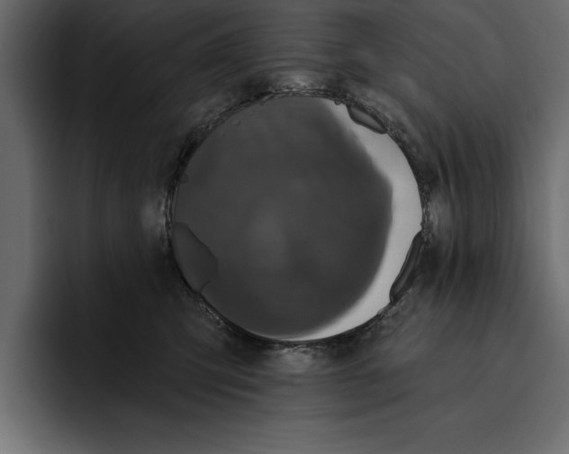 X0000094790423200712141641