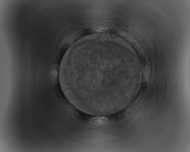 X0000094790427200712141641