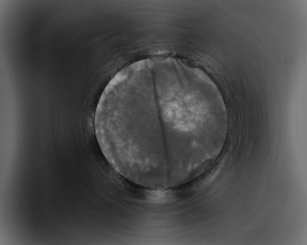 X0000094790432200712141641