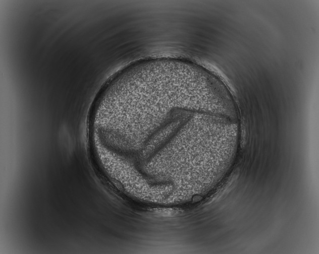 X0000094790439200712141641