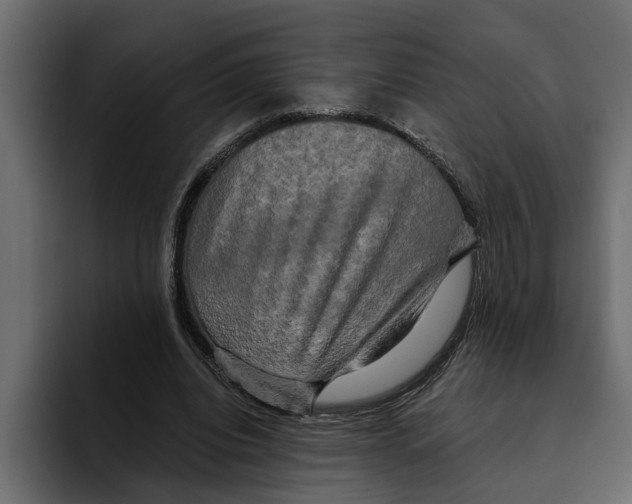 X0000094790440200712141641