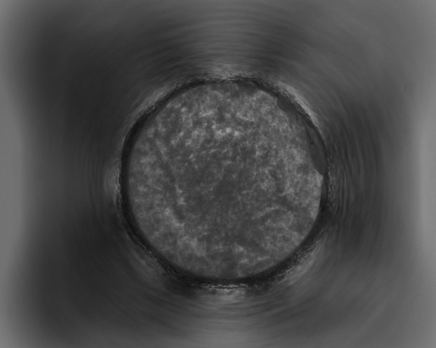 X0000094790443200712141641