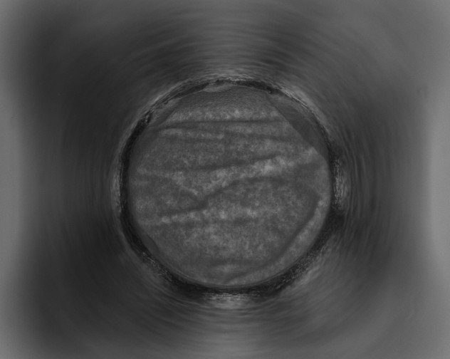 X0000094790444200712141641