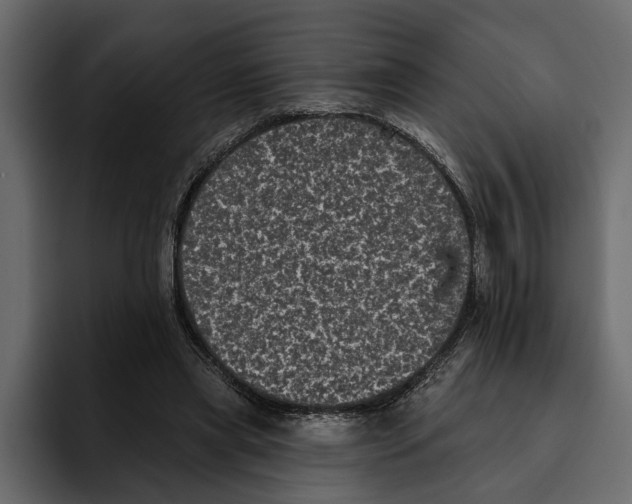 X0000094790445200712141641