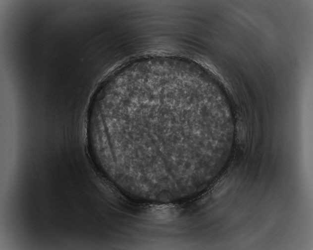 X0000094790446200712141641