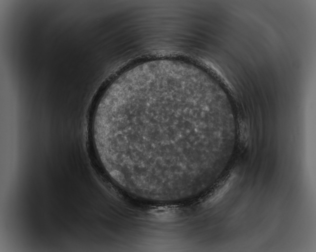 X0000094790447200712141641