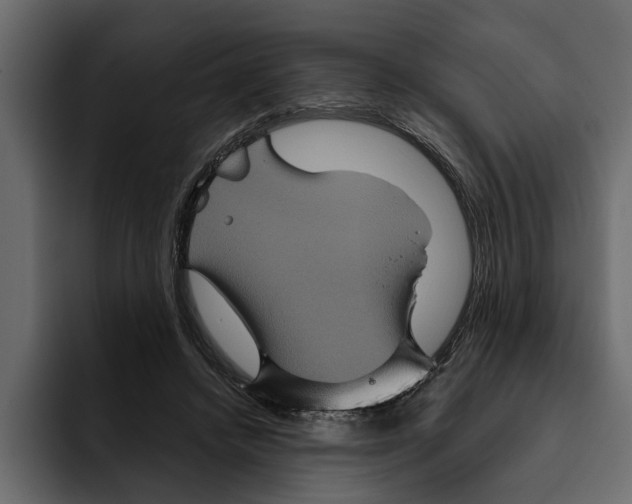 X0000094790448200712141641