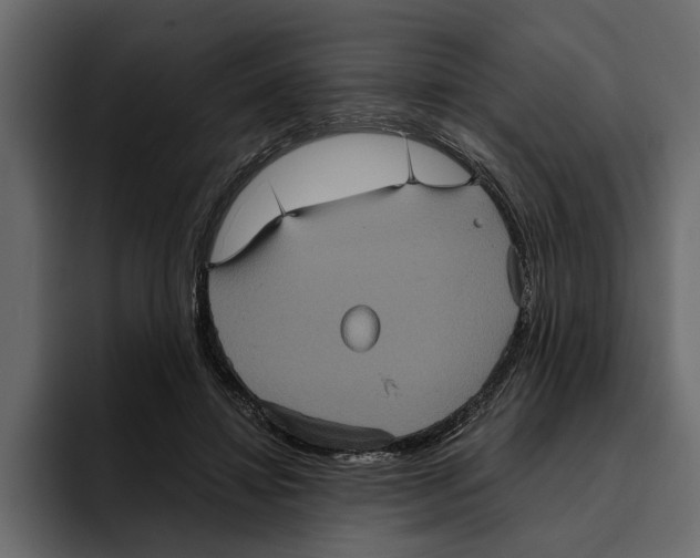 X0000094790452200712141641