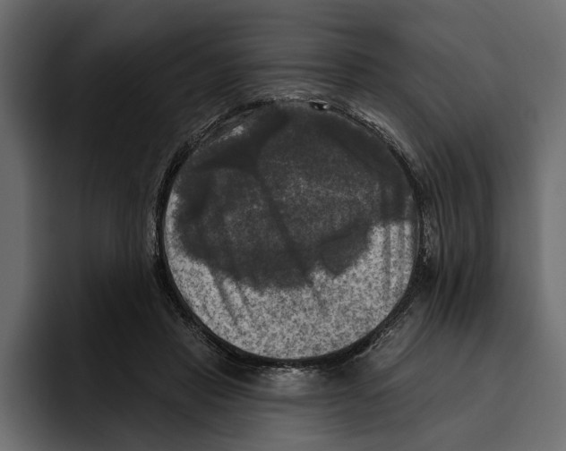 X0000094790453200712141641