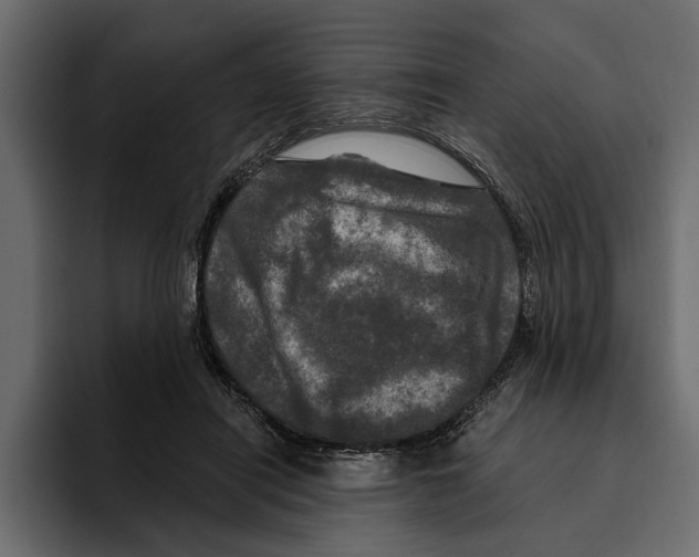 X0000094790454200712141641