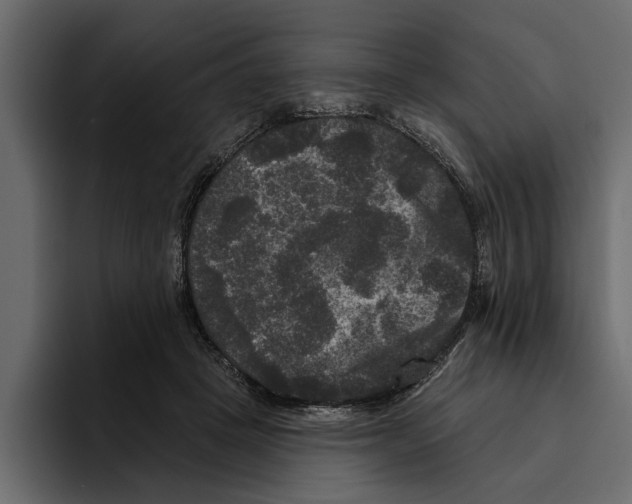 X0000094790457200712141641