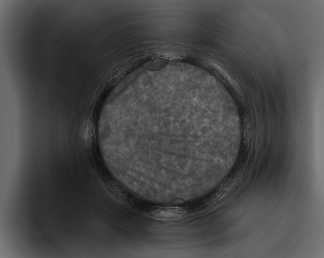 X0000094790459200712141641