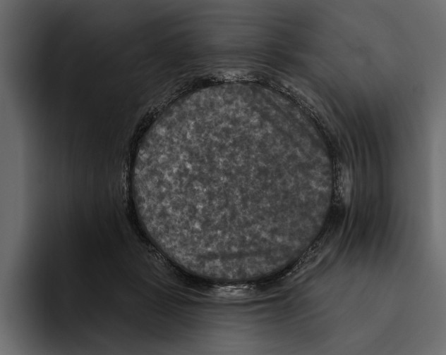 X0000094790461200712141641