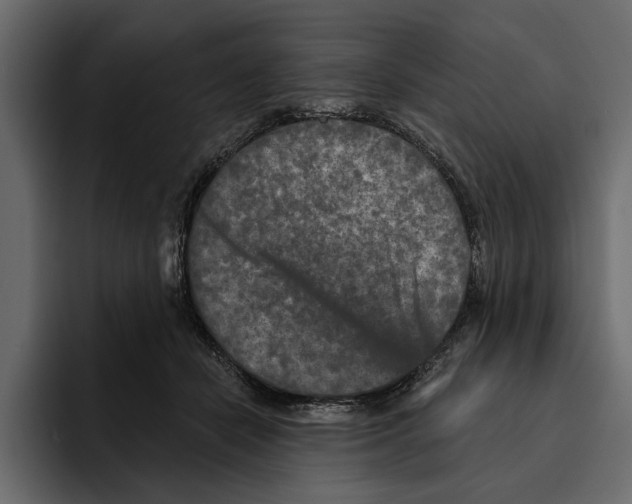 X0000094790462200712141641