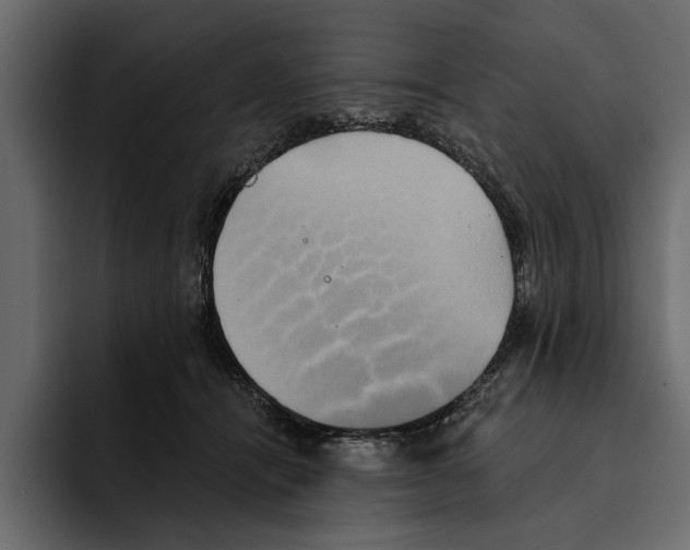 X0000094790464200712141641