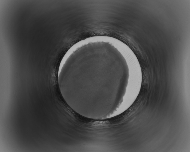 X0000094790465200712141641