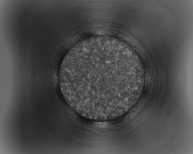 X0000094790469200712141641