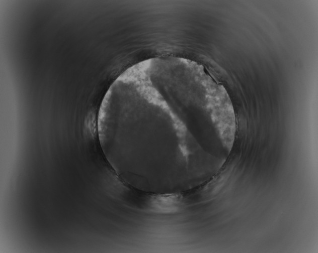 X0000094790479200712141641