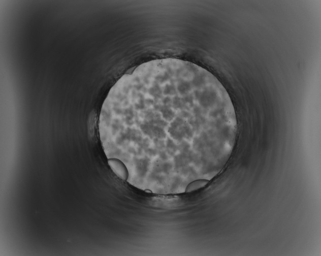 X0000094790480200712141641