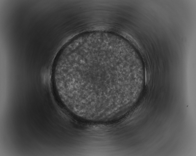 X0000094790483200712141641