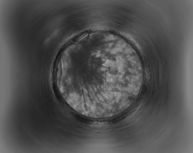 X0000094790487200712141641