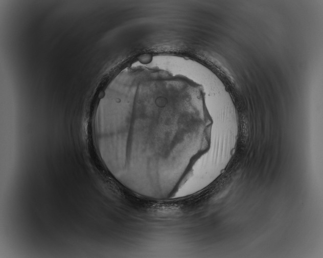 X0000094790491200712141641