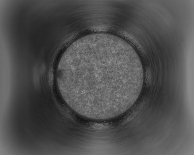 X0000094790494200712141641