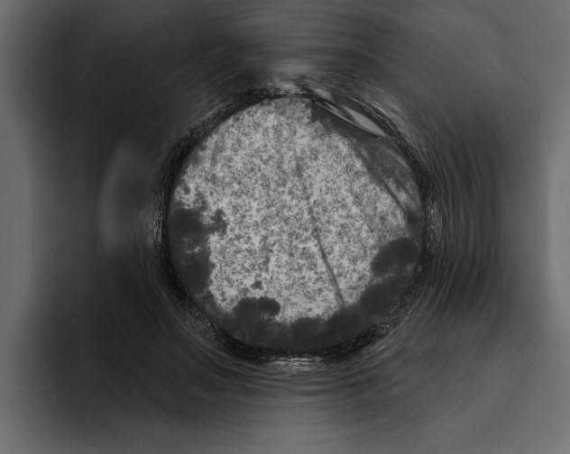 X0000094790499200712141640