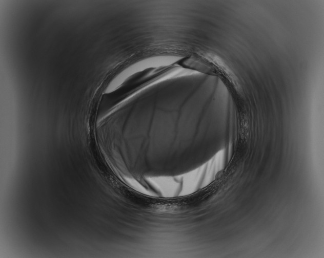 X0000094790500200712141640