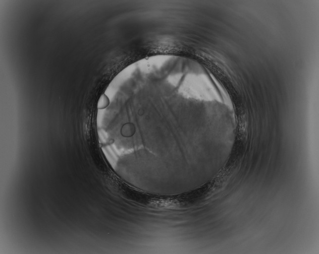 X0000094790503200712141640