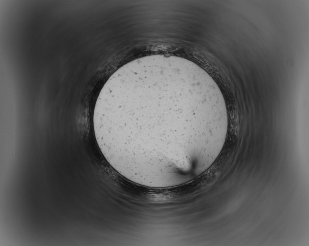 X0000094790510200712141640