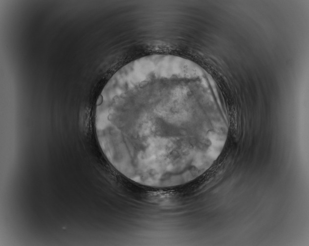 X0000094790511200712141640