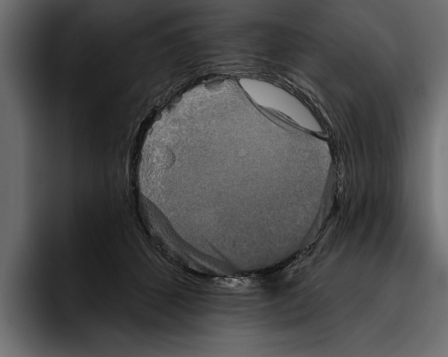 X0000094790512200712141640