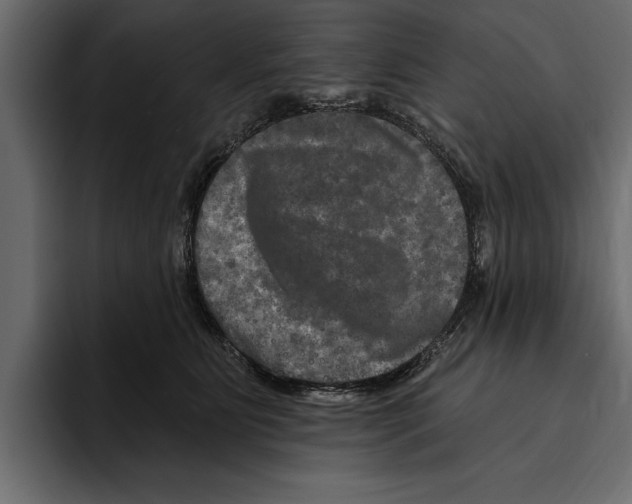 X0000094790515200712141640