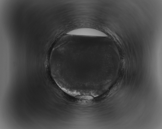 X0000094790517200712141640