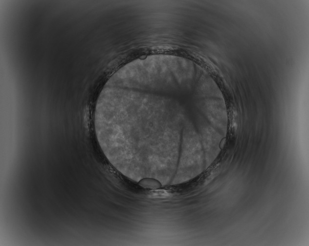 X0000094790519200712141640