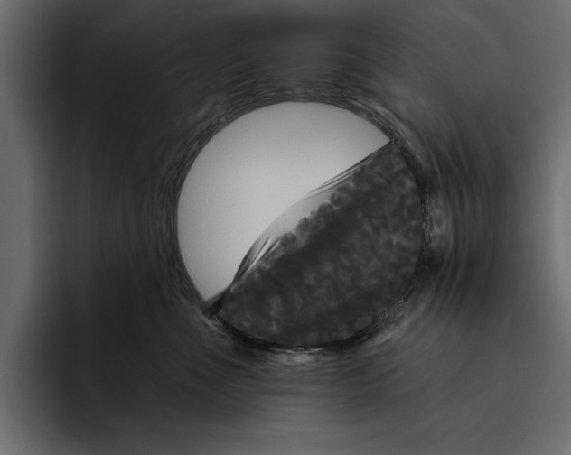 X0000094790523200712141640